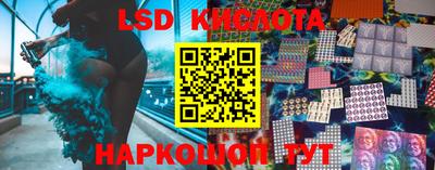 тгк Новодвинск