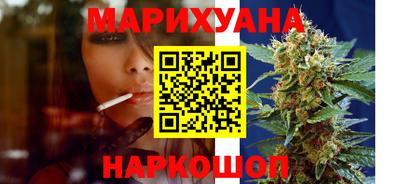 тгк Новодвинск