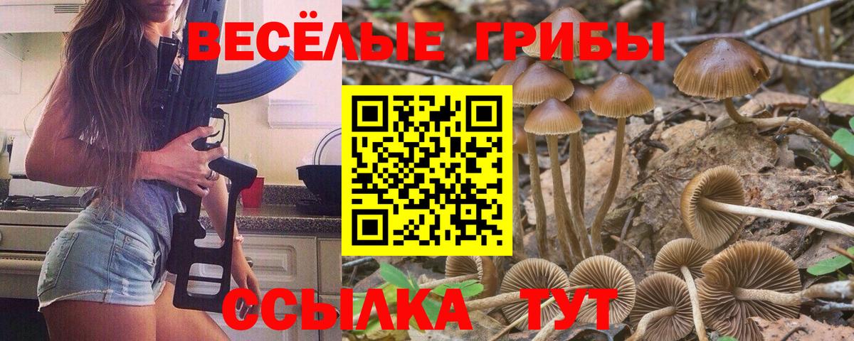 Галлюциногенные грибы MAGIC MUSHROOMS Ставрополь